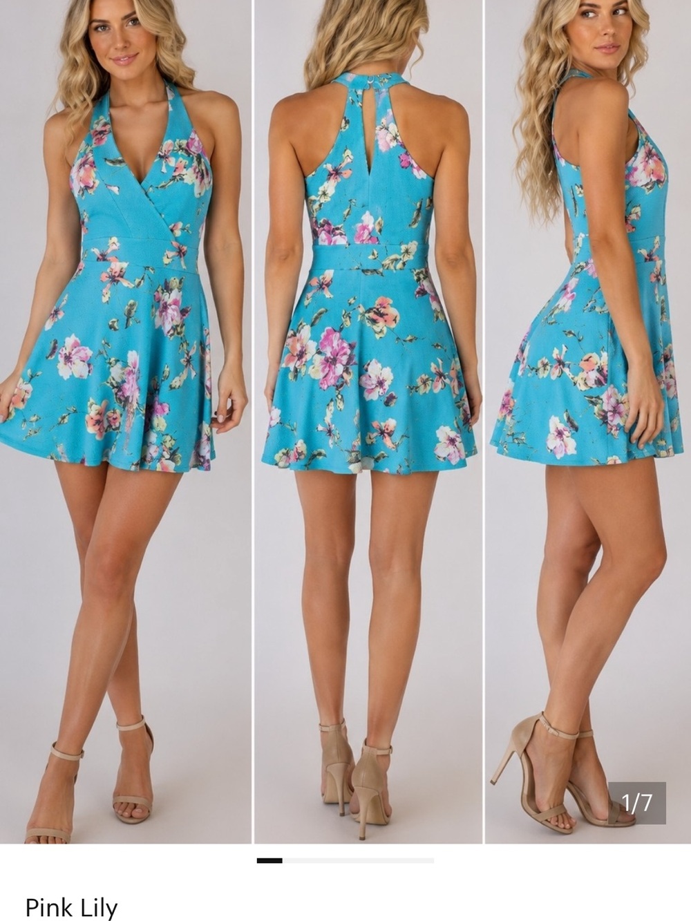 Pink Lily Womens Sleeveless Blue Floral Halter Fit And Flare Mini Dress Size S